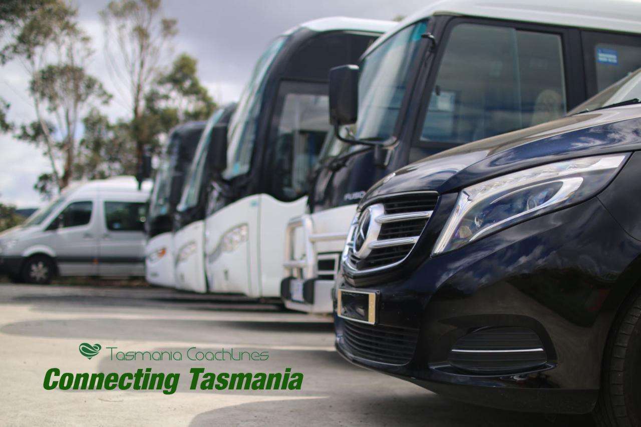 wedding transfers in Tasmania